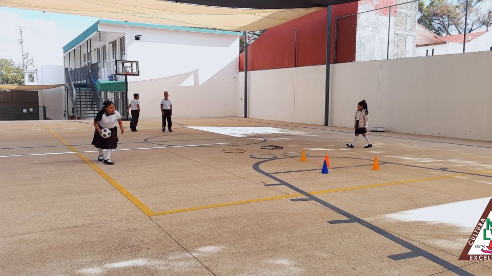 Cancha