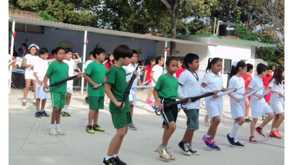 5° y 6°